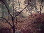 retrospective 2012