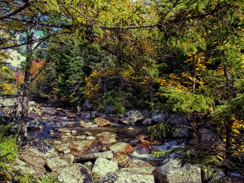 The Rock Garden