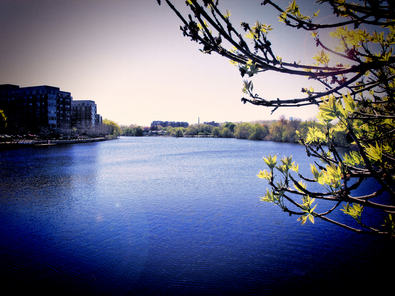 The Charles River