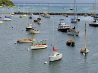 Vineyard Haven