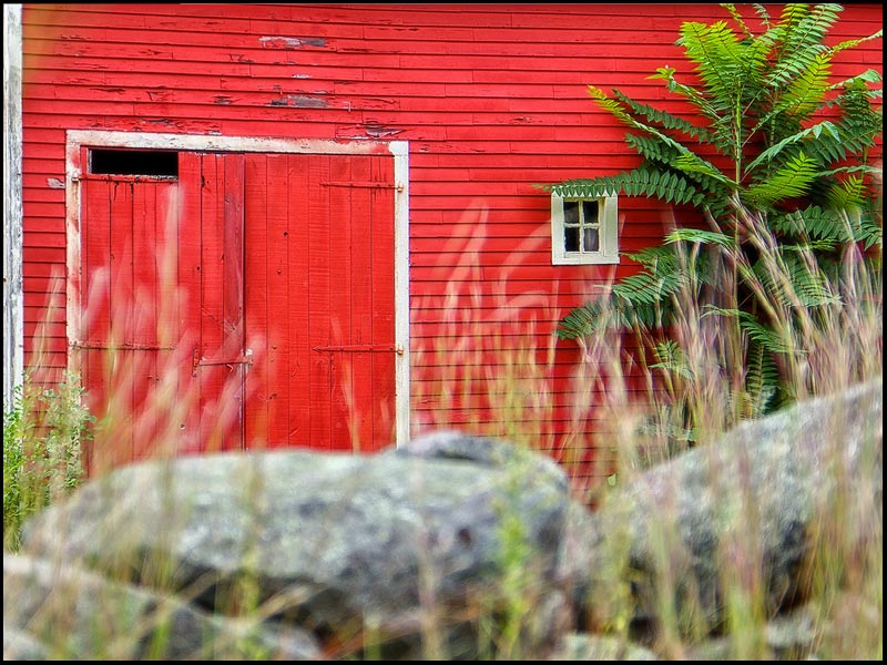 This Old Barn