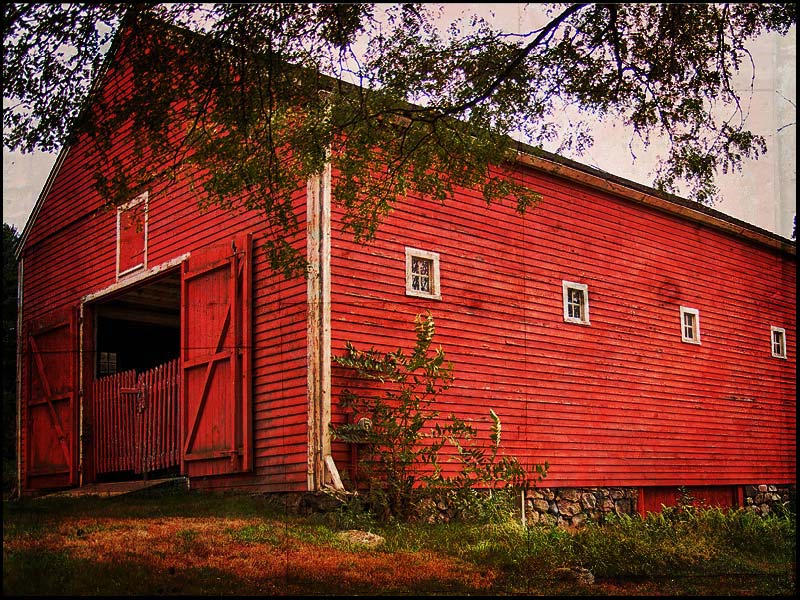 This Old Barn