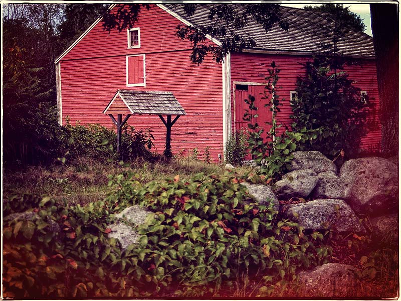 This Old Barn