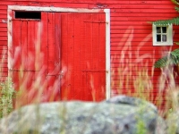 This Old Barn