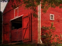 This Old Barn