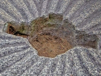 An Old Mill Stone