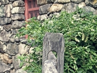 The Gristmill
