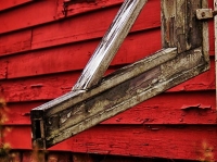 This Old Barn