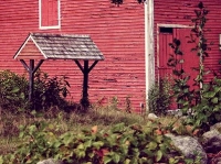 This Old Barn