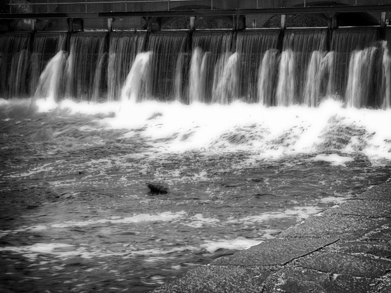 The Charles River Dam