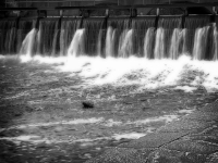 The Charles River Dam